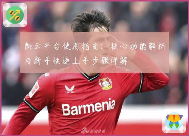 凯云平台使用指南：核心功能解析与新手快速上手步骤详解