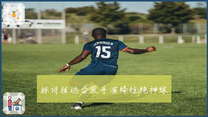 林诗栋远台反手演绎惊艳神球