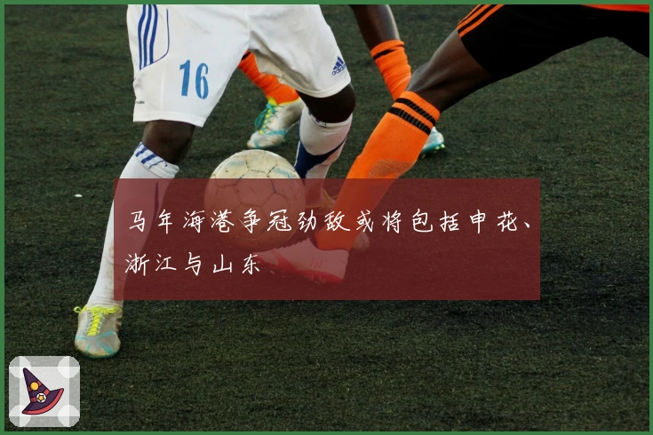 马年海港争冠劲敌或将包括申花、浙江与山东