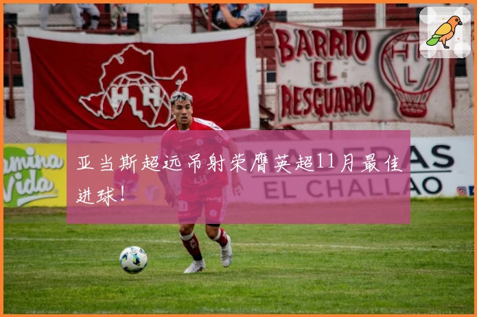 亚当斯超远吊射荣膺英超11月最佳进球!